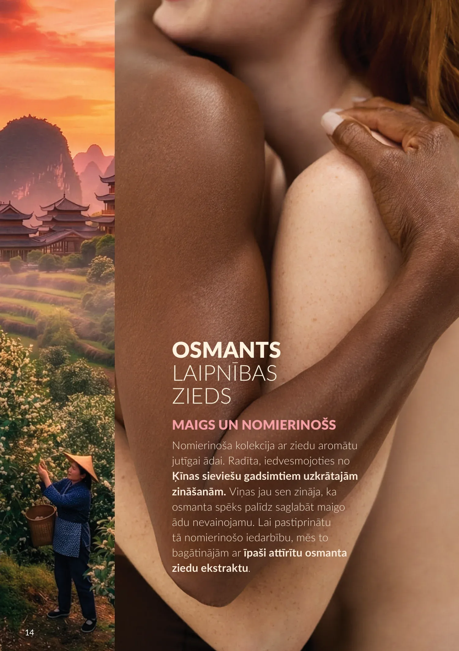 Avon akcijas — 14