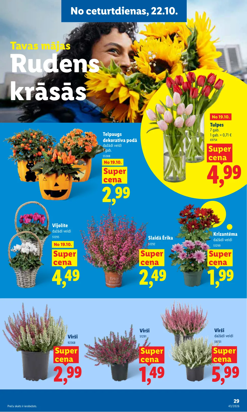 Lidl akcijas — 29