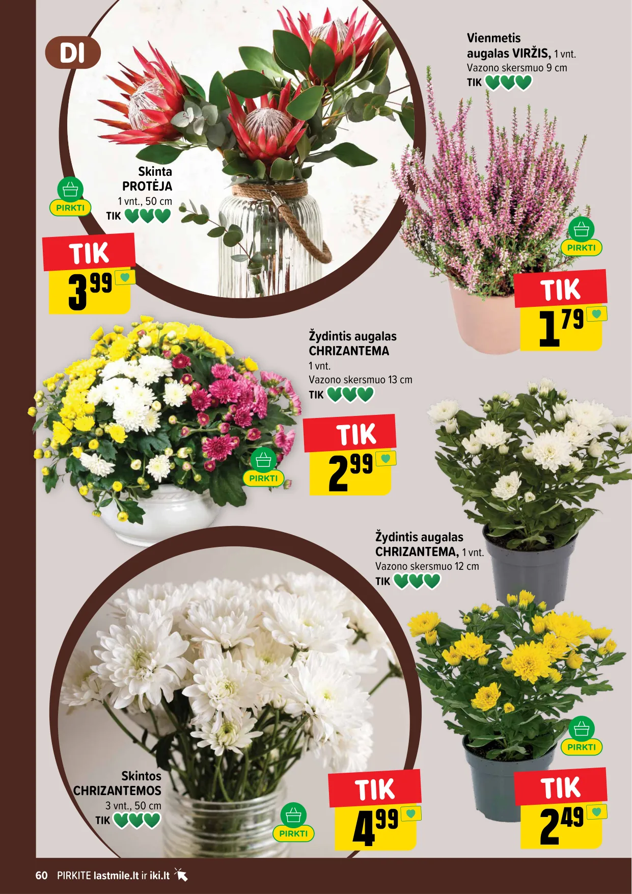 IKI akcijos — 60