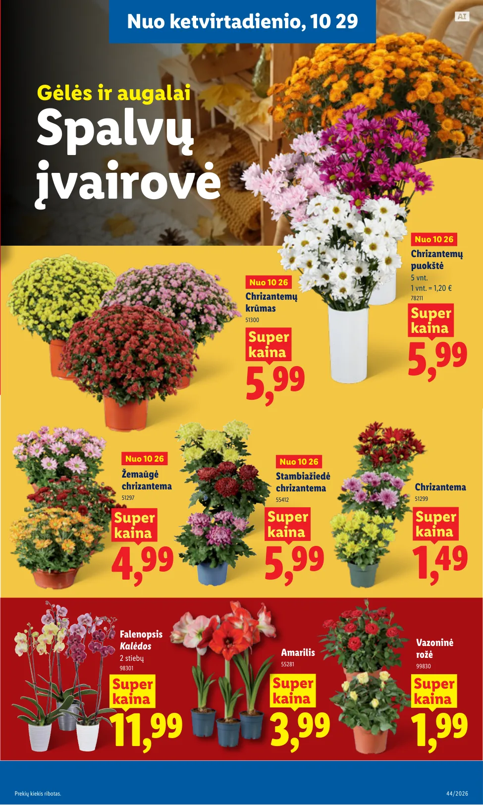 Lidl akcijos — 43